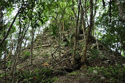 Sorprendente hallazgo en las selvas de México